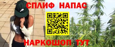 ешки Дубна