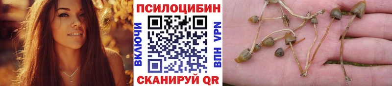 Псилоцибиновые грибы ЛСД  Сыктывкар 
