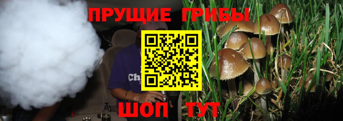 как найти   Вход с VPN  Сыктывкар  Галлюциногенные грибы Cubensis 