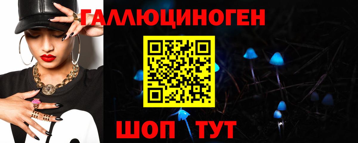 Галлюциногенные грибы Psilocybine cubensis Сыктывкар